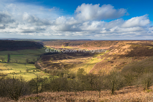 Into Spring, Hole Of Horcum