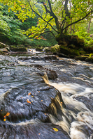 Autumn Waters, West beck