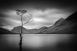 Windswept, Buttermere