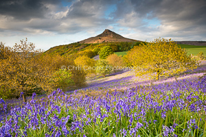 A Touch Of Blue, Roseberry Topping