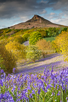 Spring Colours, Roseberry Topping