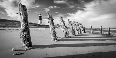 Shadows, Spurn point