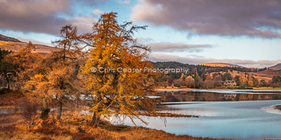 Autumn By Loch Tulla, Rannoch Moor