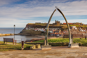 The Whale Bones, Whitby