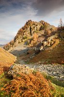Pathway To The Crag, Borrowdale