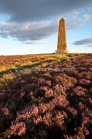 Summer Nights, Cooks Monument