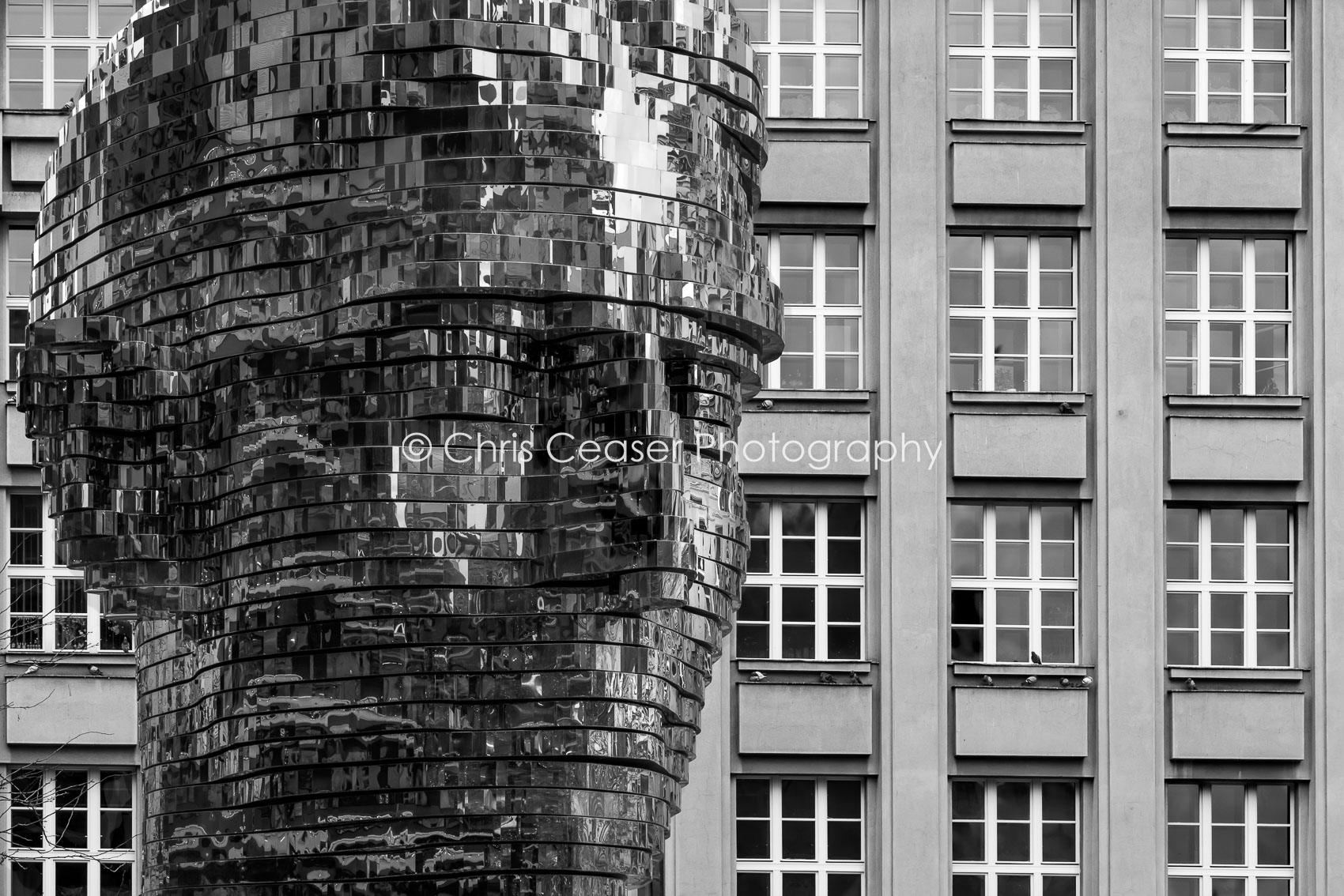 Kafka's Head And Windows